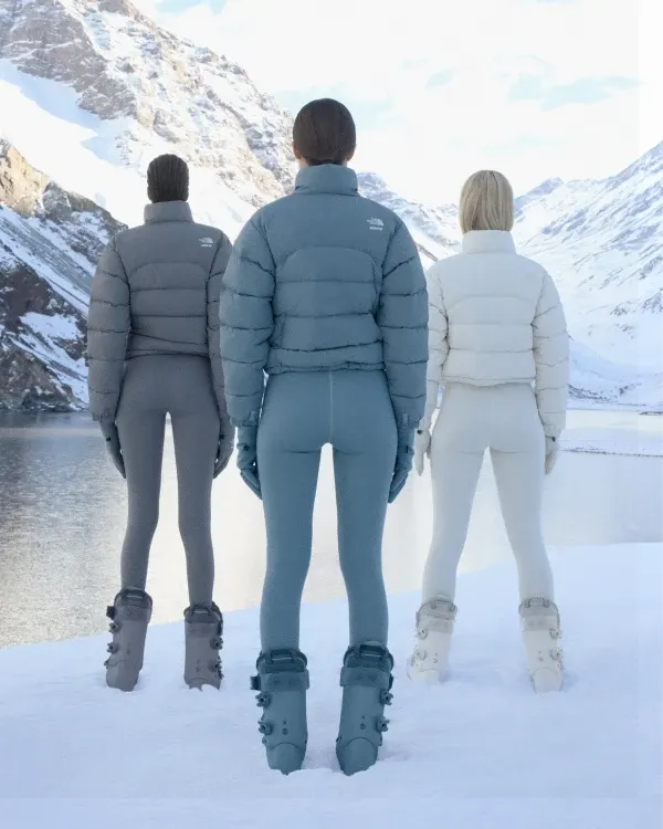 Discover the Collection